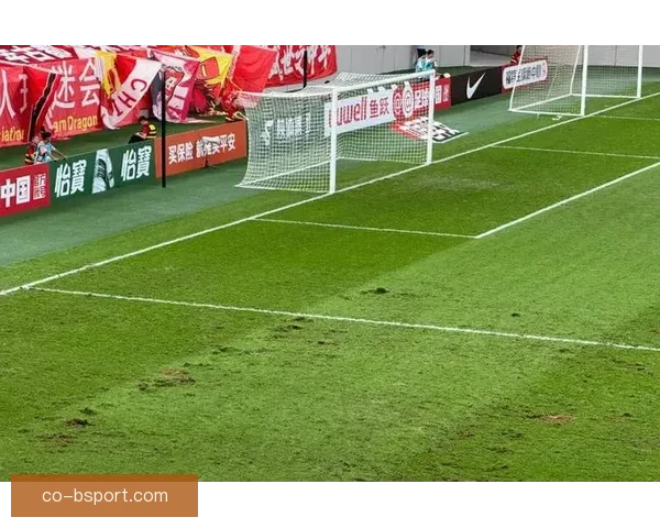 世界杯推出全新草坪自热排水技术 助力赛事场地完美呈现